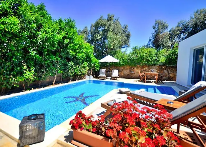 Villa Amie